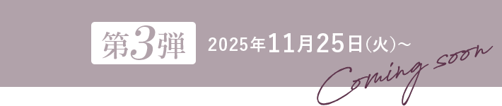 3e 2025N1125i΁j〜