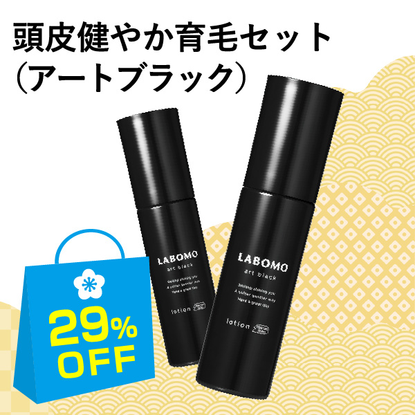 { A[gubN [Vipэ܁j2{Zbg