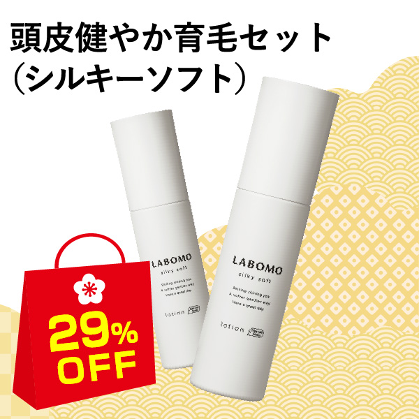 { VL[\tg [Vipэ܁j2{Zbg