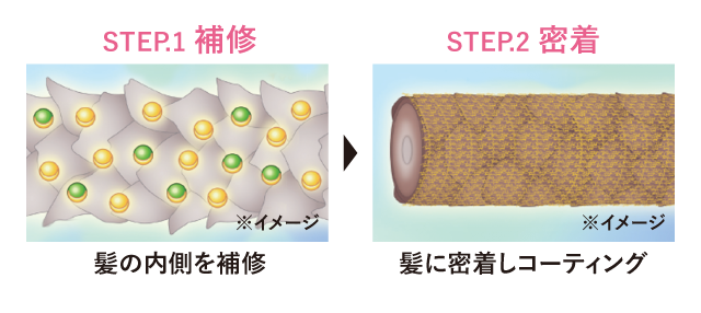 LABOMO(ラボモ) スカルプアロマ ヘアトリートメントの通販