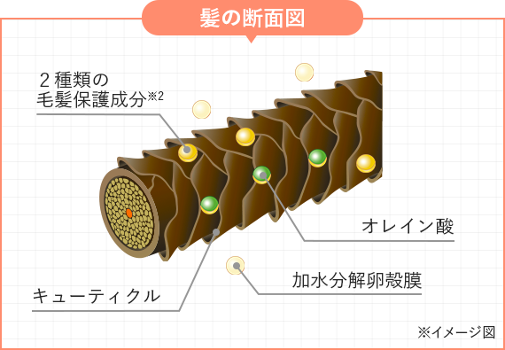 白髪染めトリートメント】ラボモ スカルプアロマ ヘアカラー