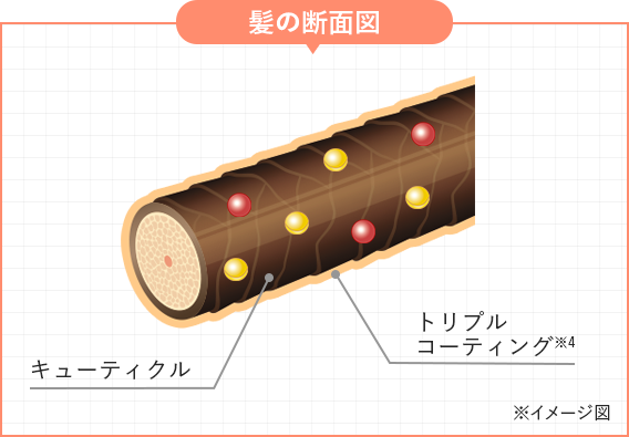 白髪染めトリートメント】ラボモ スカルプアロマ ヘアカラー