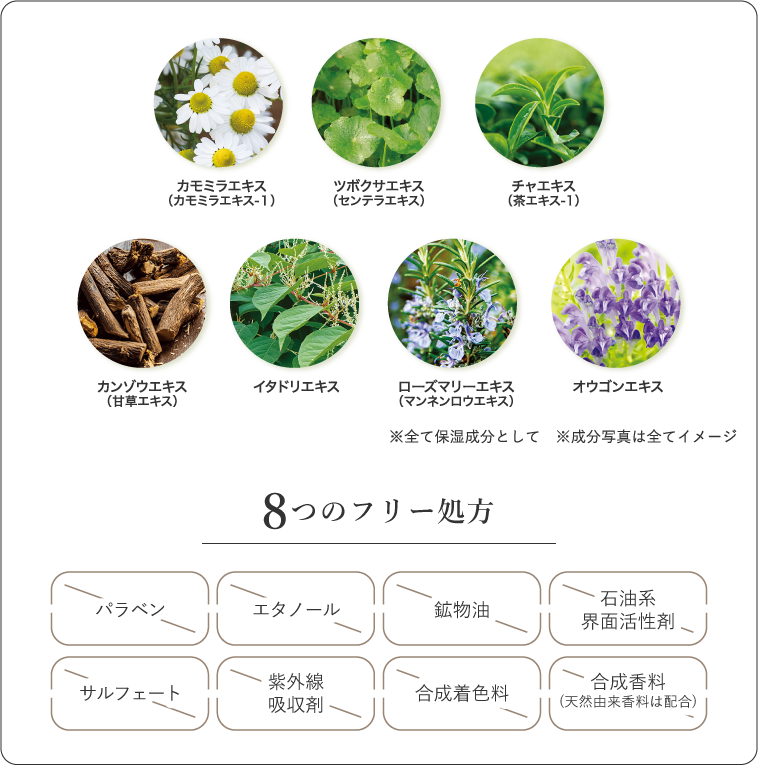 厳選した７種の植物由来保湿成分を配合　8つのフリー処方