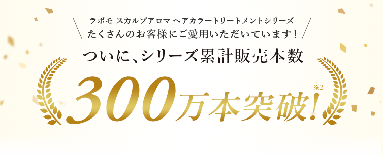 ついに、シリーズ累計販売本数300万本突破!