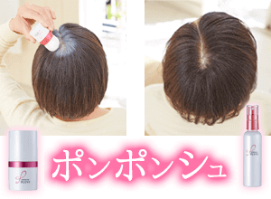 ポンポンシュ