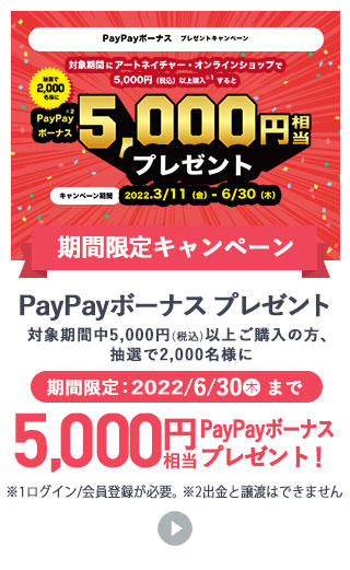 PayPayボーナス プレゼントキャンペーン
